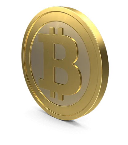 One Bitcoin A Day - WATCH REAL TRADING RESULTS